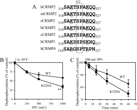 FIGURE 9.