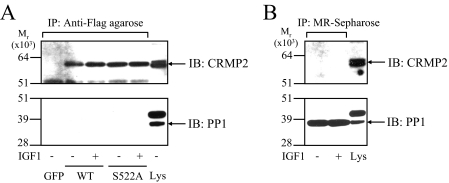 FIGURE 4.