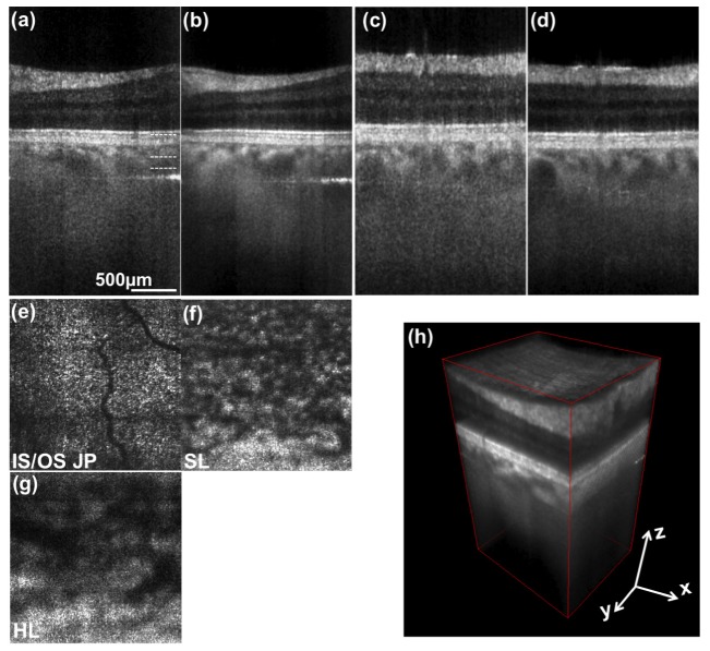 Fig. 6