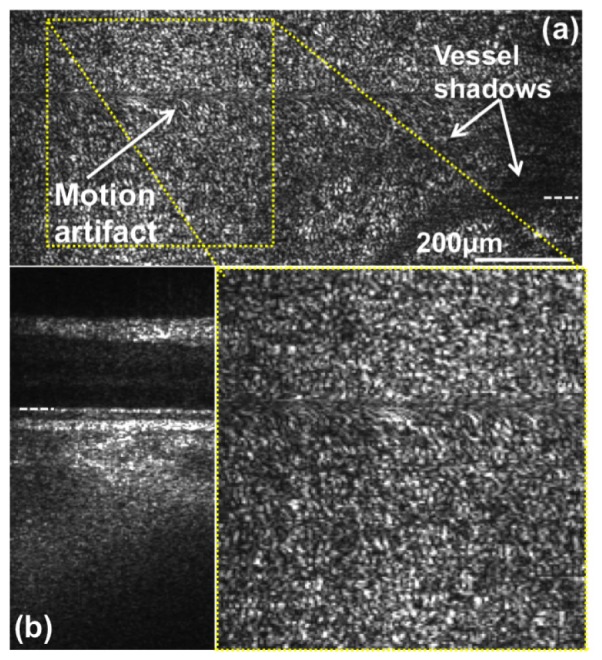 Fig. 9