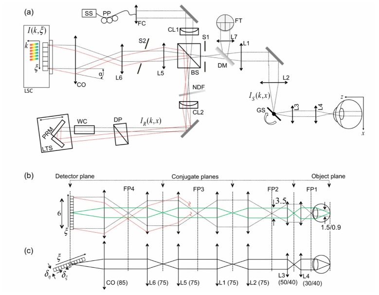 Fig. 1