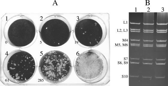 FIG. 7.