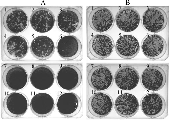 FIG. 8.