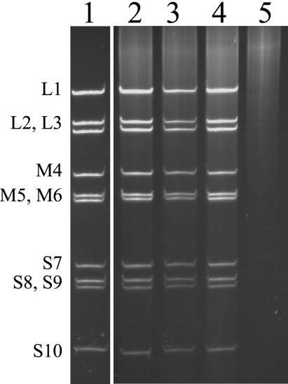 FIG. 5.