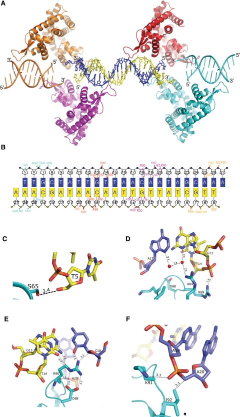 Figure 4.