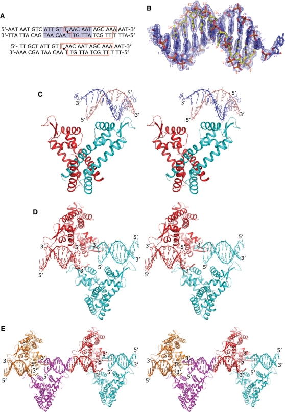 Figure 3.