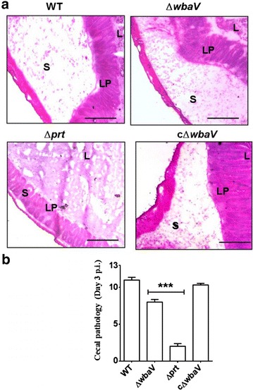 Fig. 5