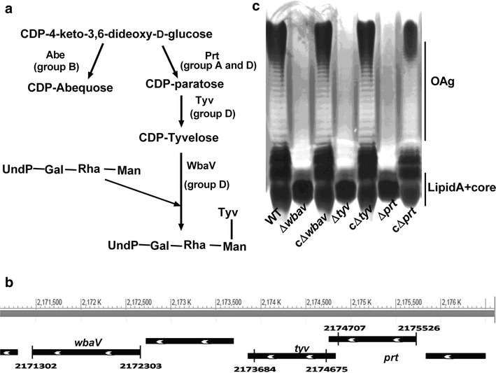 Fig. 1