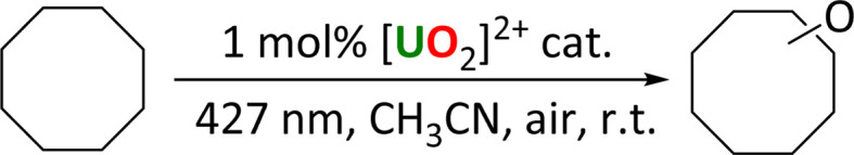 Scheme 4