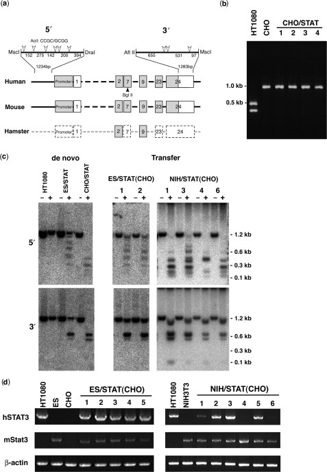 Figure 5.