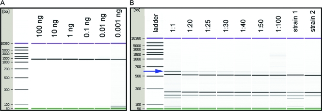 FIG. 1.
