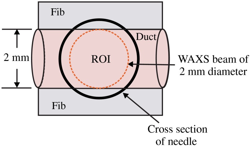 Fig. 2