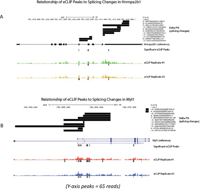 Figure 6—figure supplement 3.