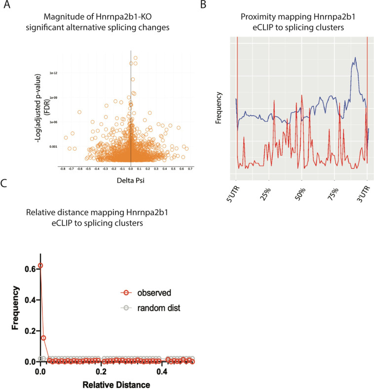 Figure 6—figure supplement 2.