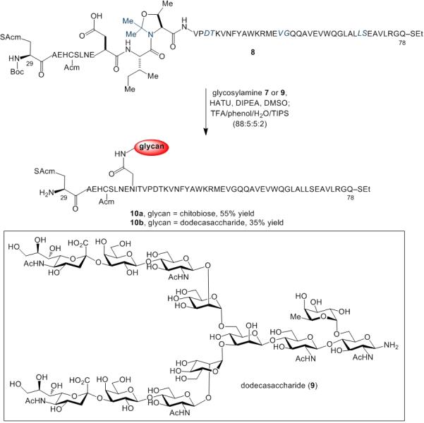 Scheme 5