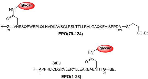 Scheme 8