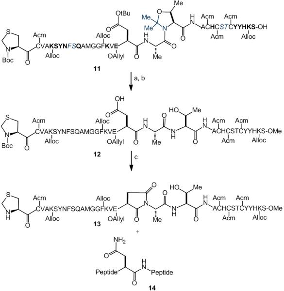 Scheme 6