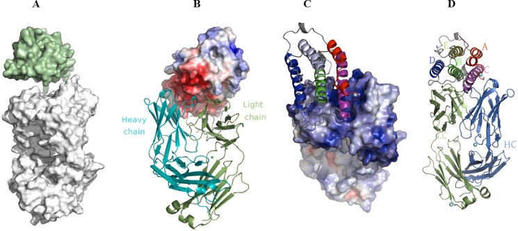 FIGURE 1.