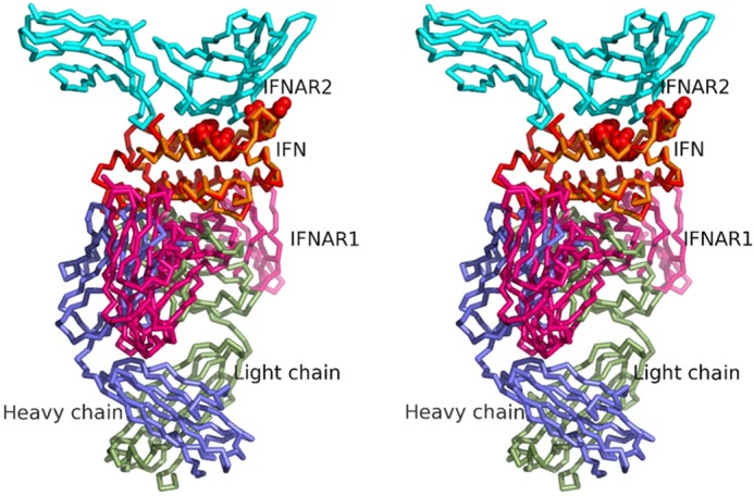 FIGURE 3.