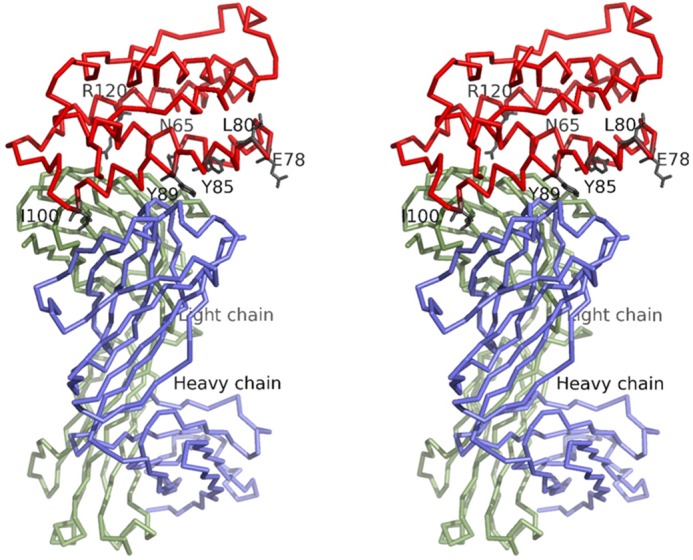 FIGURE 5.