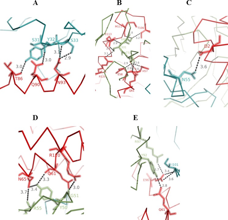 FIGURE 2.