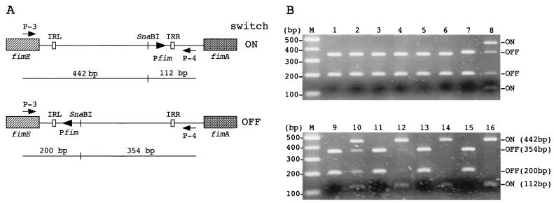 FIG. 1