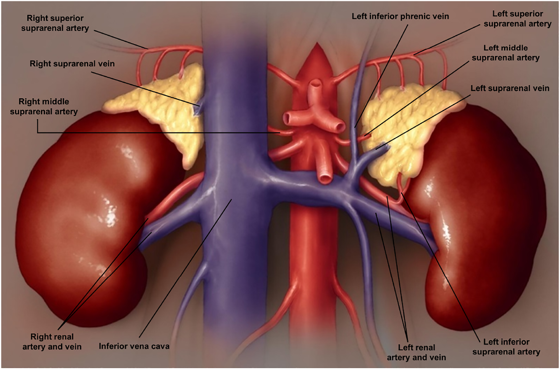 Figure 2: