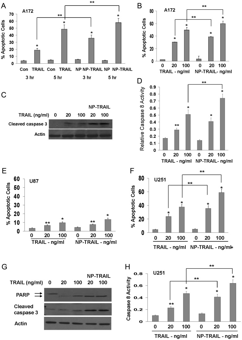 Fig. 1.