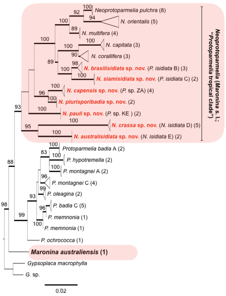 Figure 1.