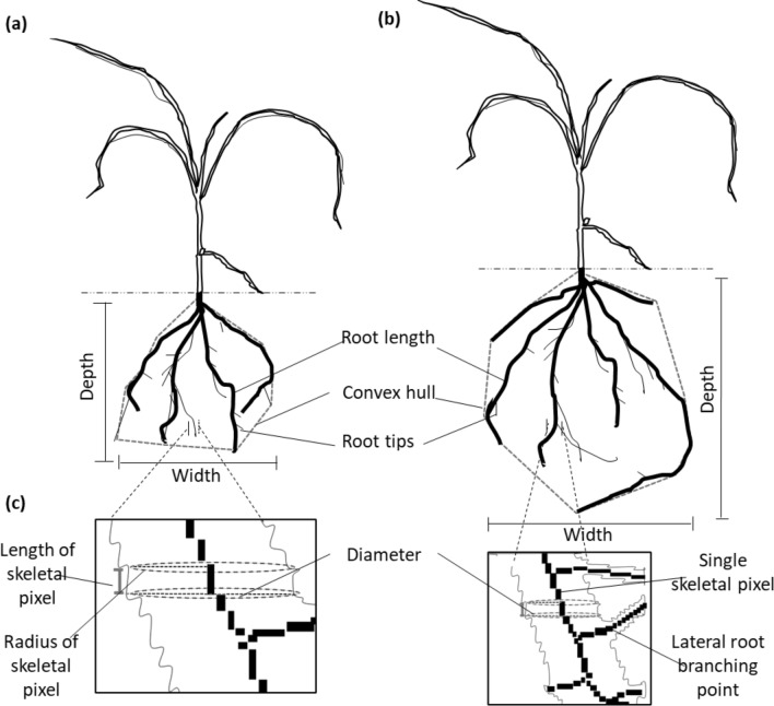 Fig. 1