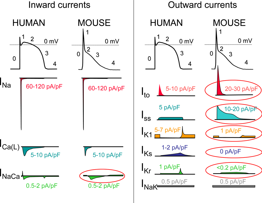 Figure 2: