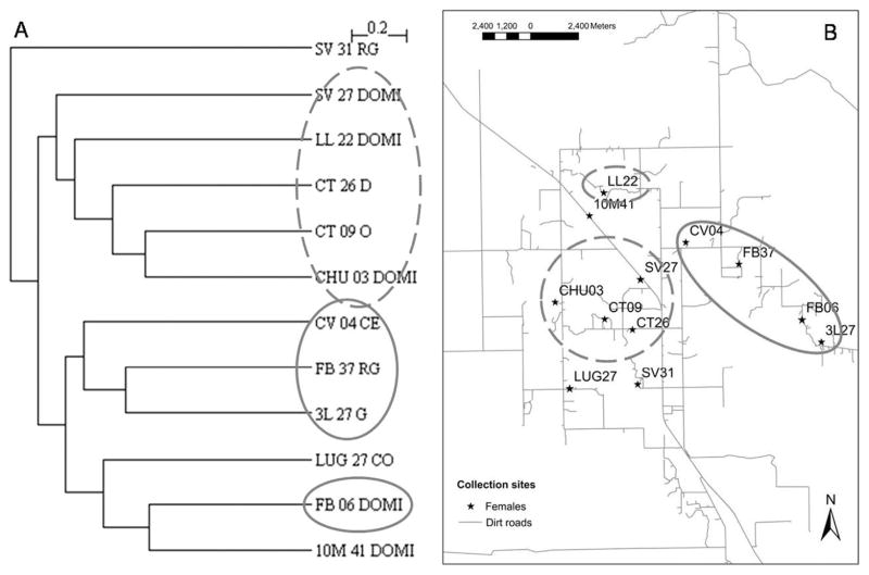 Fig. 6