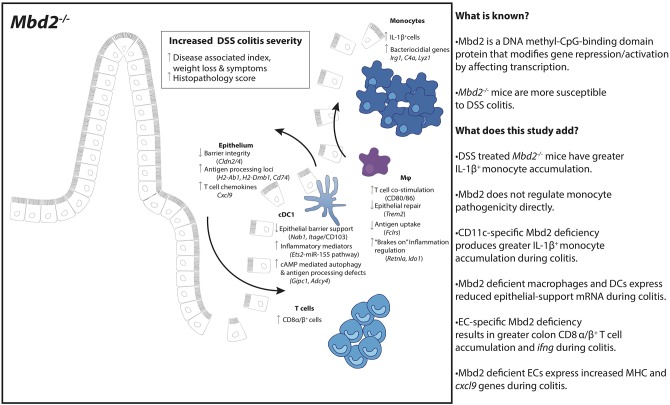 Graphical Abstract