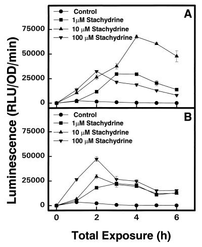 FIG. 1