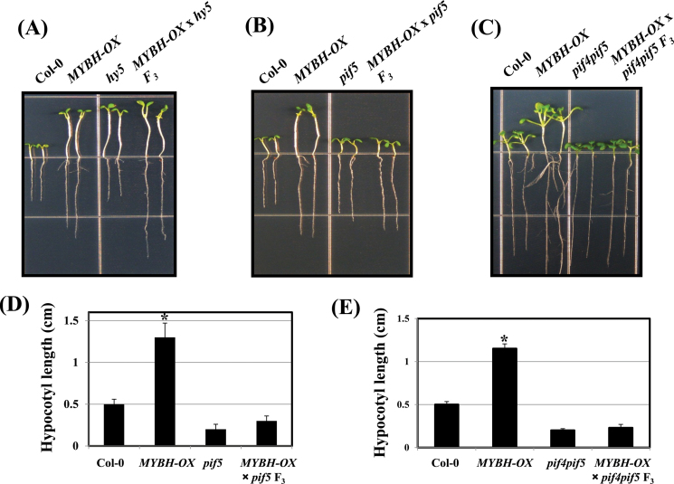 Fig. 9.