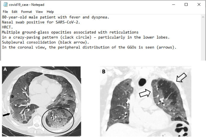 Fig. 6