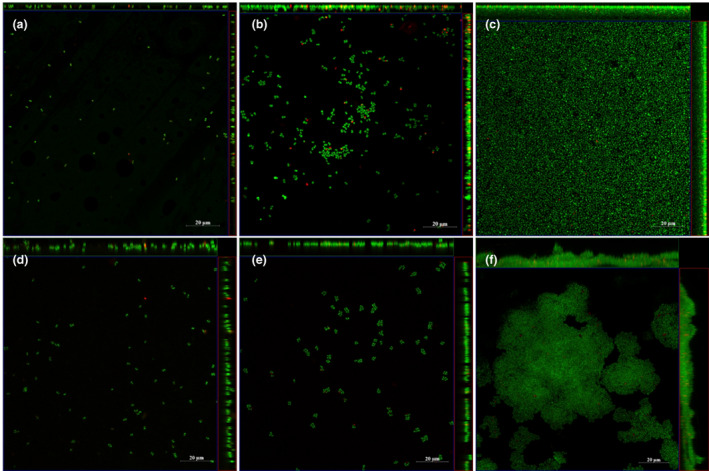 FIGURE 4