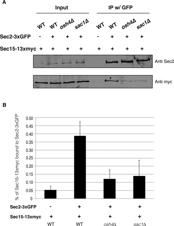 FIGURE 6: