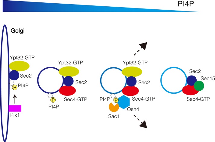 FIGURE 7: