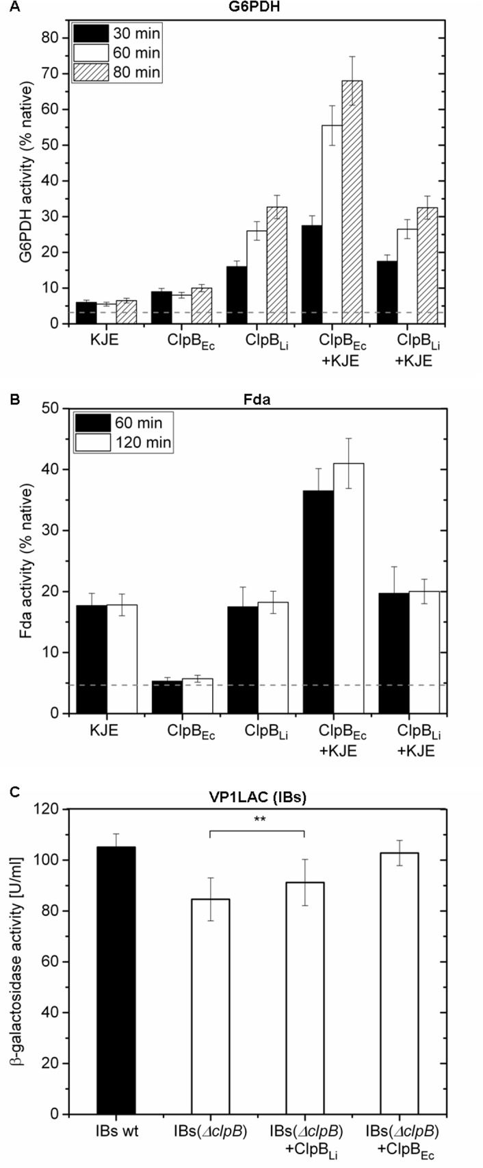 Fig 6