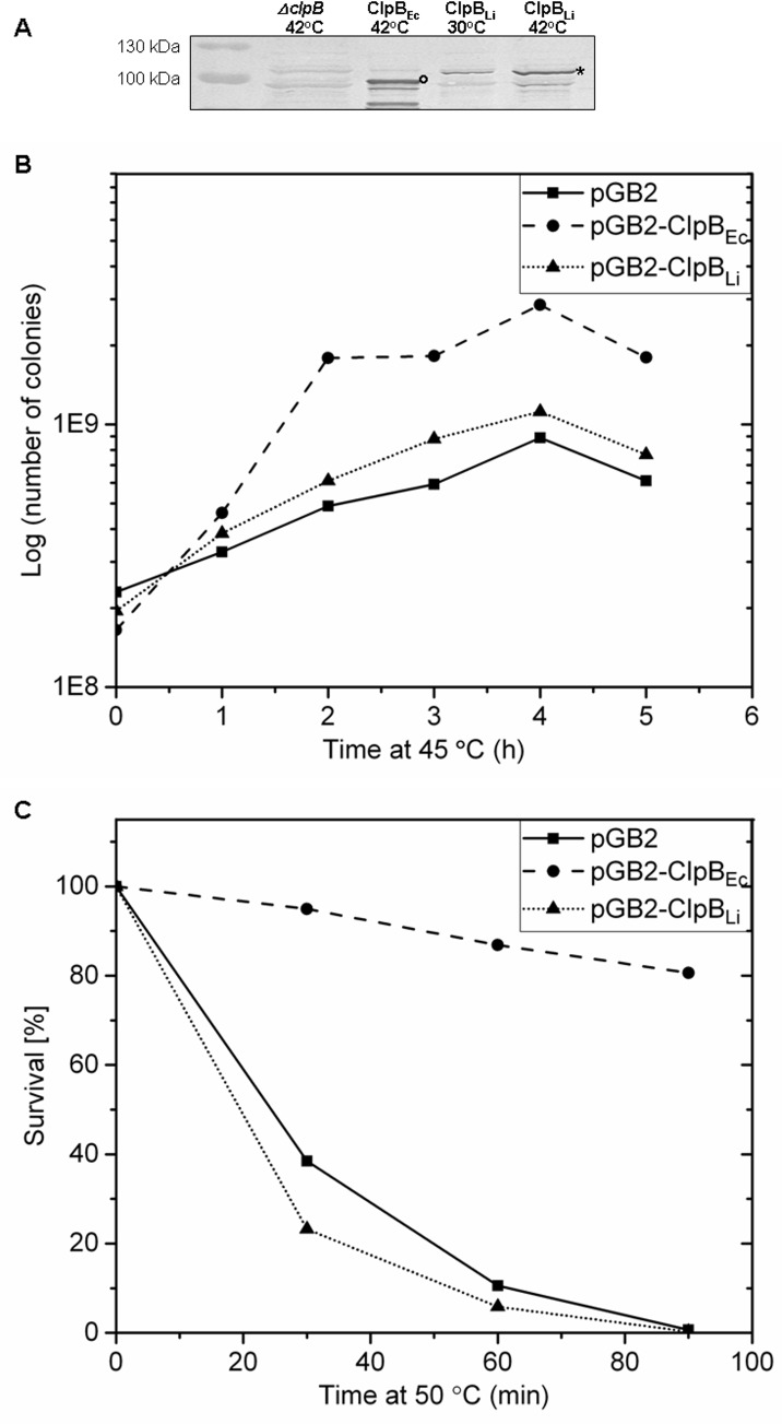 Fig 8