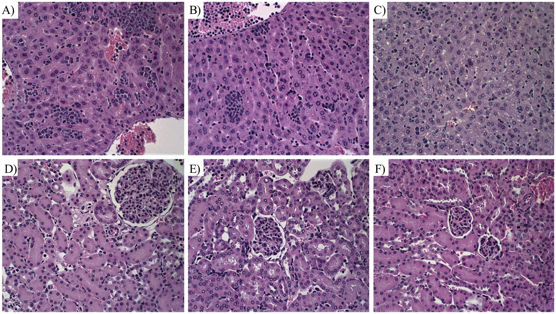 Fig. 10.