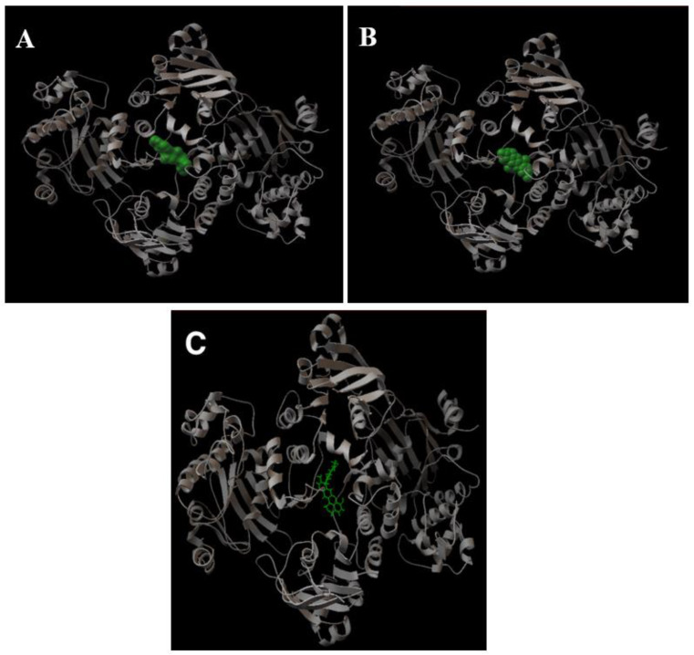 Figure 6