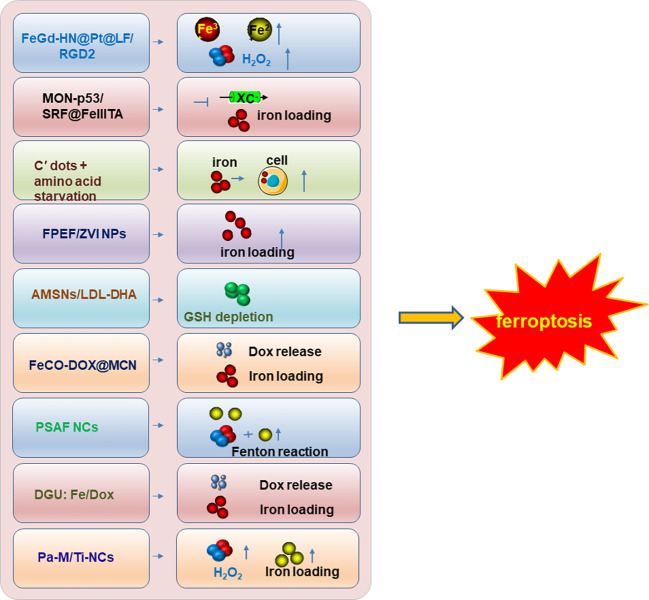 Figure 5