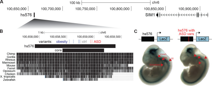 Figure 6: