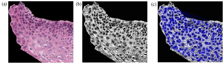 Fig. 16