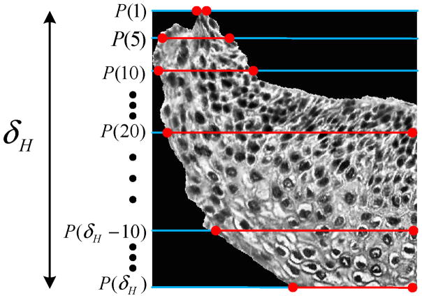 Fig. 17