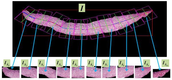 Fig. 15