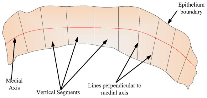 Fig. 13