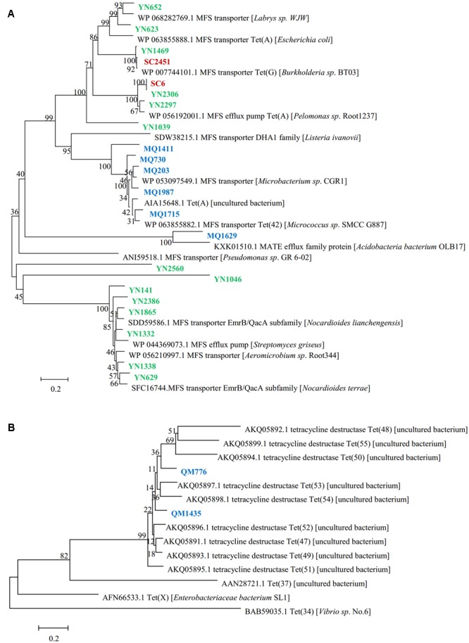 FIGURE 1